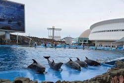 名古屋港水族館に投稿された画像(2026/3/15)