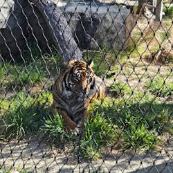 名古屋市東山動植物園に投稿された画像(2026/3/15)