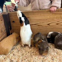 滋賀農業公園ブルーメの丘に投稿された画像(2026/3/15)