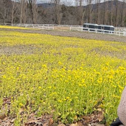 滋賀農業公園ブルーメの丘に投稿された画像(2026/3/15)