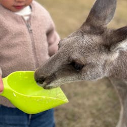 滋賀農業公園ブルーメの丘に投稿された画像(2026/3/15)
