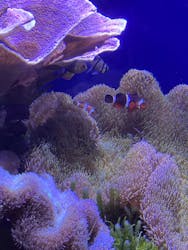 名古屋港水族館に投稿された画像(2026/3/15)