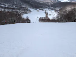 星野リゾート ネコマ マウンテンに投稿された画像(2026/3/15)