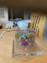 floración(フロラシオン)に投稿された画像(2026/3/15)