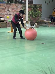 那須どうぶつ王国に投稿された画像(2026/3/15)