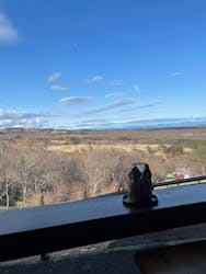 那須どうぶつ王国に投稿された画像(2026/3/15)