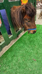 しろとり動物園に投稿された画像(2026/3/15)