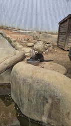 しろとり動物園に投稿された画像(2026/3/15)