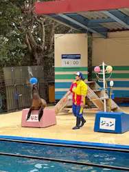 鳥羽湾めぐりとイルカ島に投稿された画像(2026/3/16)