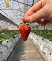 山万ユーカリファームに投稿された画像(2026/3/16)