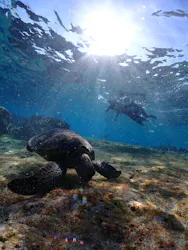 宮古島マリン SUGAR3(シュガースリー)に投稿された画像(2026/3/17)