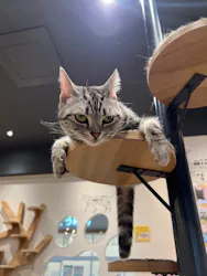 いぬカフェRio イオンモール常滑店に投稿された画像(2026/3/18)