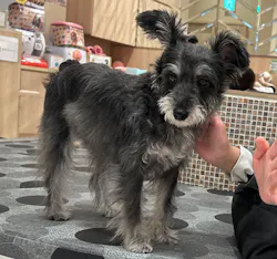 いぬカフェRio ゆめタウン久留米店に投稿された画像(2026/3/19)