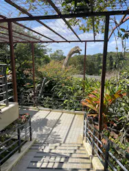 御菓子御殿 名護店 やんばる亜熱帯の森DINO恐竜PARKに投稿された画像(2026/3/19)