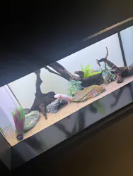 サンシャイン水族館に投稿された画像(2026/3/20)