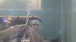 サンシャイン水族館に投稿された画像(2026/3/20)