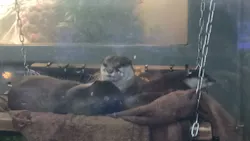 サンシャイン水族館に投稿された画像(2026/3/20)