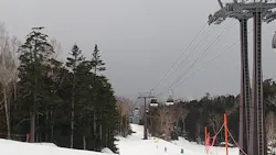 ワンダーランドOZEかたしなに投稿された画像(2026/3/20)