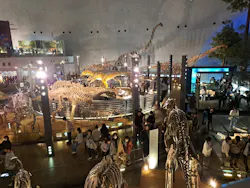 福井県立恐竜博物館に投稿された画像(2026/3/20)