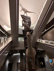 福井県立恐竜博物館に投稿された画像(2026/3/20)