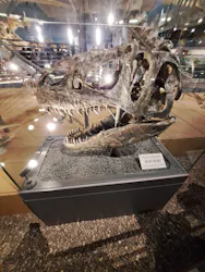 福井県立恐竜博物館に投稿された画像(2026/3/20)