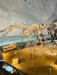 福井県立恐竜博物館に投稿された画像(2026/3/20)