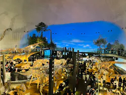 福井県立恐竜博物館に投稿された画像(2026/3/20)