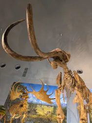 福井県立恐竜博物館に投稿された画像(2026/3/21)