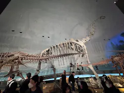 福井県立恐竜博物館に投稿された画像(2026/3/21)