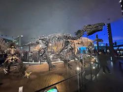 福井県立恐竜博物館に投稿された画像(2026/3/21)