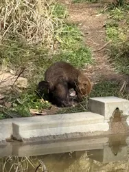 名古屋市東山動植物園に投稿された画像(2026/3/21)