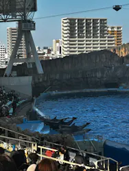 名古屋港水族館に投稿された画像(2026/3/21)