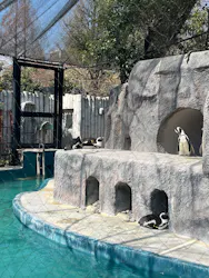 恩賜上野動物園に投稿された画像(2026/3/21)