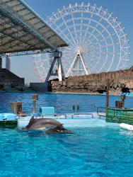 名古屋港水族館に投稿された画像(2026/3/21)