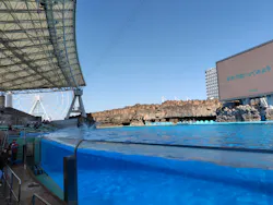 名古屋港水族館に投稿された画像(2026/3/21)