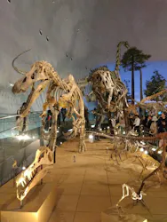 福井県立恐竜博物館に投稿された画像(2026/3/21)