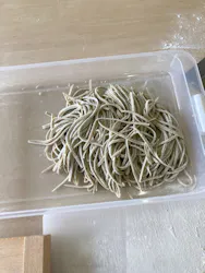 そば処 出石城に投稿された画像(2026/3/21)