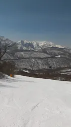 ワンダーランドOZEかたしなに投稿された画像(2026/3/21)