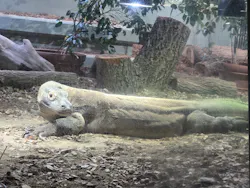 名古屋市東山動植物園に投稿された画像(2026/3/21)