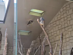 名古屋市東山動植物園に投稿された画像(2026/3/21)