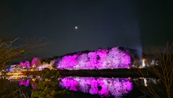 ムーミンバレーパークに投稿された画像(2026/3/21)