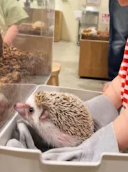 Moff animal cafe イオンモール新利府店に投稿された画像(2026/3/22)