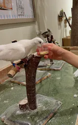 Moff animal cafe イオンモール新利府店に投稿された画像(2026/3/22)