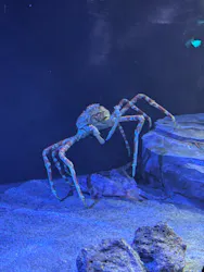 サンシャイン水族館に投稿された画像(2026/3/22)