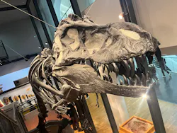 福井県立恐竜博物館に投稿された画像(2026/3/22)