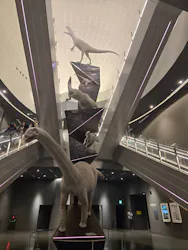 福井県立恐竜博物館に投稿された画像(2026/3/22)