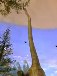 福井県立恐竜博物館に投稿された画像(2026/3/22)