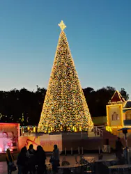 レオマリゾートに投稿された画像(2026/3/22)