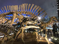 福井県立恐竜博物館に投稿された画像(2026/3/22)