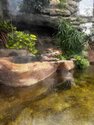 恩賜上野動物園に投稿された画像(2026/3/22)